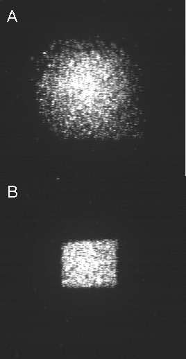 ion image