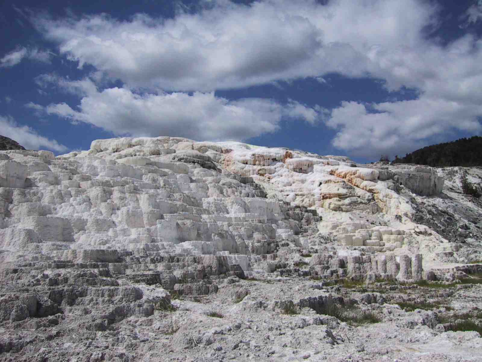 yellowstonegeysers.jpg (67819 bytes)